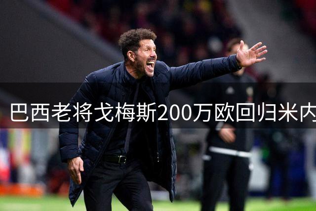 巴西老将戈梅斯200万欧回归米内罗竞技